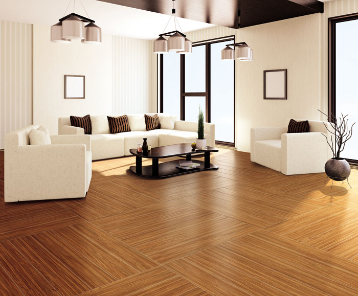 最美，不過當(dāng)陽光遇上森林