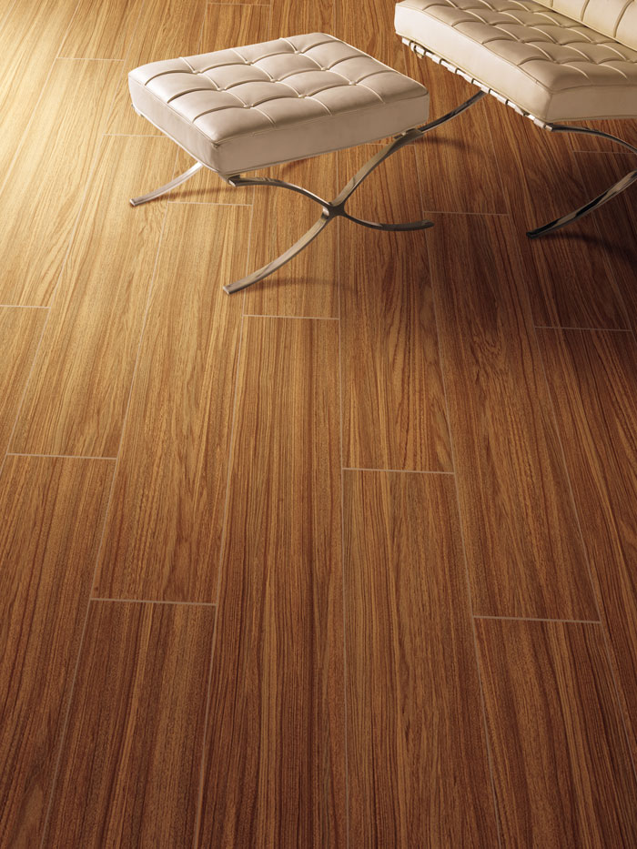 最美，不過當(dāng)陽光遇上森林